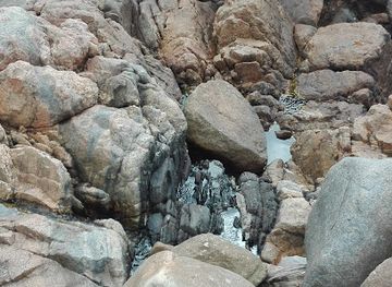 south-africa/gauteng/attraction/outcrop-of-main-reef-group-of-conglomerates