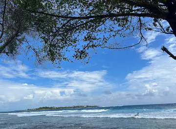 Cokes Surf break