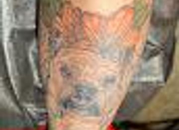 south-carolina/congaree-national-park/attraction/ophidian-tattoo