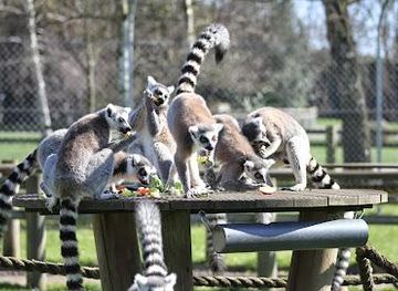 united-kingdom/norwich/attraction/africa-alive