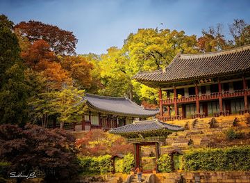 south-korea/gwandong-region/attraction/changdeokgung-secret-garden