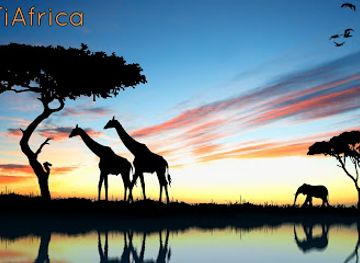 zambia/eastern-province/attraction/this-is-africa