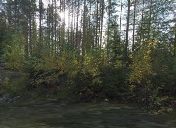 finland/repovesi-national-park/attraction/national-park