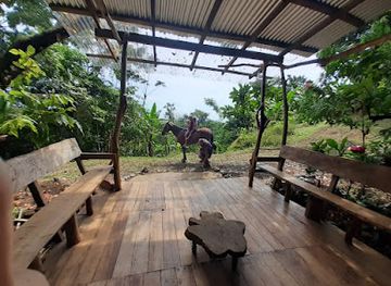 costa-rica/cahuita-national-park/attraction/the-chocolate-forest