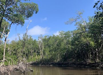 florida/fakahatchee-strand-preserve-state-park/attraction/jungle-erv-s-airboat-tours-mangrove-tunnel