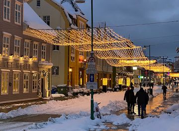 norway/troms/attraction/perspective-museum