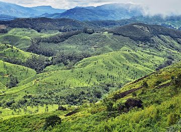 india/western-ghats/attraction/pothamedu-view-point