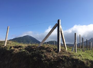 guatemala/quetzaltenango-xela/attraction/lo-de-valeria