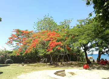 Rove Children's Park