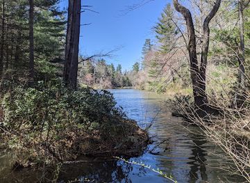 north-carolina/hendersonville/attraction/carl-sandburg-home-national-historic-site