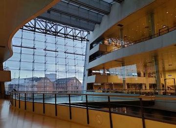 denmark/roskilde/attraction/black-diamond