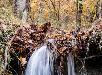 indiana/yellowwood-state-forest/attraction/laura-hare-nature-preserve-at-downey-hill