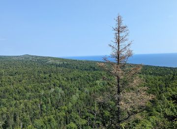 minnesota/lutsen-mountains/attraction/lookout-mountain