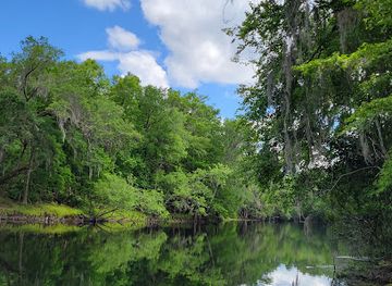 florida/santa-fe-river/attraction/river-rise-preserve-state-park