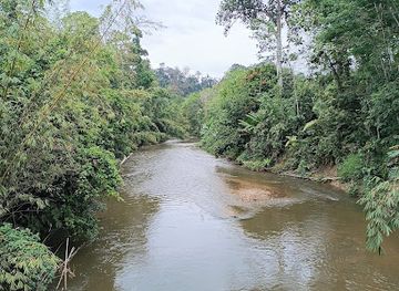 malaysia/pahang/attraction/titom-rakit-crossing