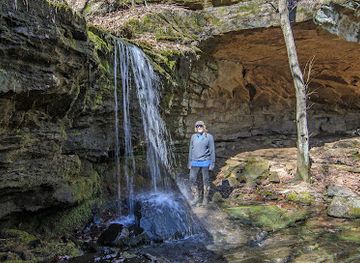 illinois/ferne-clyffe-state-park/attraction/max-creek-vortex