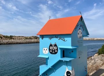 portugal/nazare/attraction/casa-dos-gatos