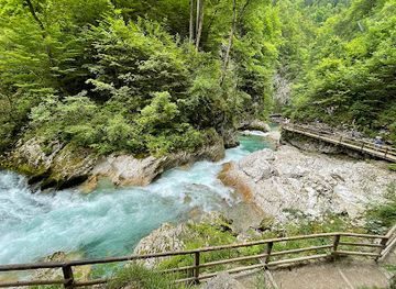 slovenia/posavje/attraction/soteska-vintgar