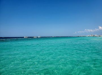 florida/panama-city-beach/attraction/the-local-underwater-adventures