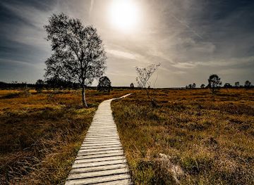 belgium/hautes-fagnes/attraction/fagne-de-brackvenn