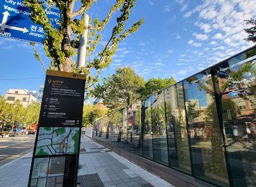 south-korea/busan/seomyeon/attraction/dongcheon-eunhaeng-namugil-ginko-street