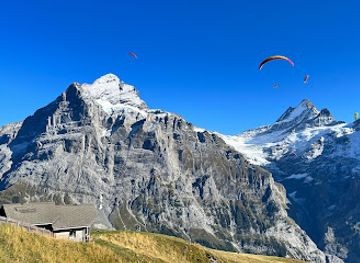 switzerland/jungfrau-region/attraction/first-flyer