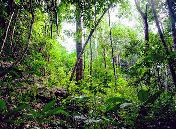 cambodia/kampot/attraction/phu-quoc-national-park