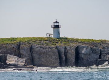 maine/downeast/attraction/pond-island-lighthouse