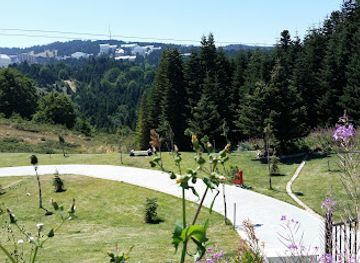 turkiye/uludag/attraction/uludag-sarialan