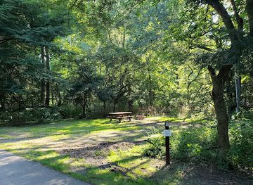 pennsylvania/allegheny-national-forest/attraction/buckaloons-recreation-area