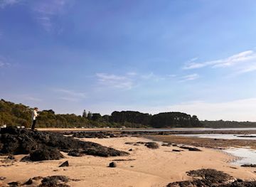 australia/mornington-peninsula/attraction/cleaves-point