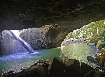 australia/gold-coast/attraction/natural-bridge-springbrook-national-park