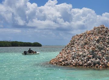 british-virgin-islands/virgin-gorda/attraction/conch-island