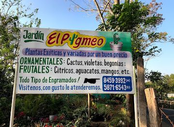 nicaragua/apoyo-lagoon/attraction/jardin-el-pigmeo