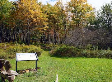 west-virginia/monongahela-national-forest/attraction/cheat-summit-fort