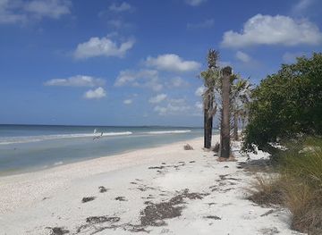 florida/honeymoon-island-state-park/attraction/caladesi-island