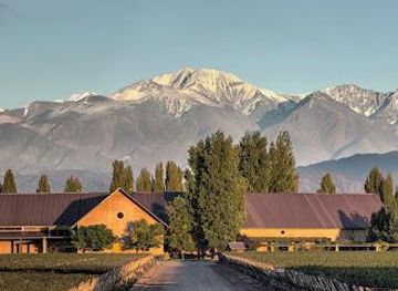 argentina/mendoza/attraction/susana-balbo