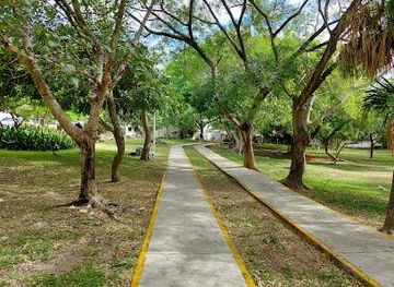 mexico/cancun/attraction/sm-4-park