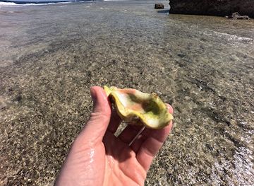 egypt/marsa-alam/attraction/aurora-resort-beach