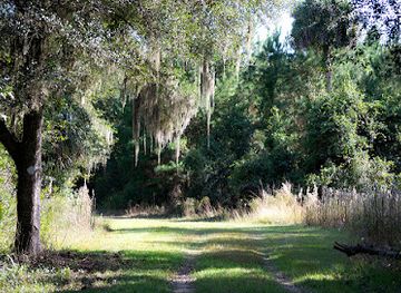 florida/ocala-national-forest/attraction/silver-springs-forest-conservation-area
