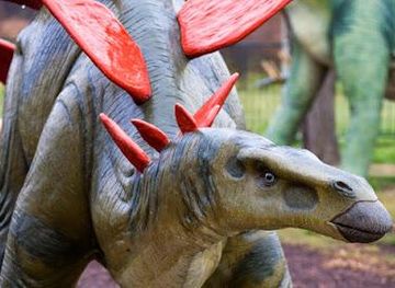 australia/canberra/attraction/national-dinosaur-museum