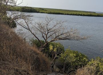 senegal/sine-saloum-delta/attraction/shell-island-deourum-bu-mag