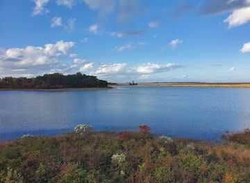 delaware/bombay-hook-national-wildlife-refuge/attraction/raymond-observation-tower-trail