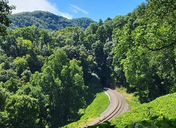 north-carolina/asheville/attraction/point-lookout-trail