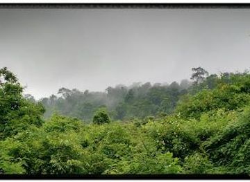 cambodia/siem-reap/attraction/angkor-center-for-conservation-of-biodiversity-accb