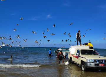 oman/muscat-governorate/attraction/mangrove-of-qurum