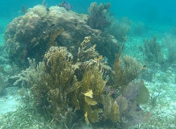 guatemala/rio-dulce/attraction/evolution-expeditions