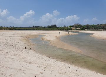 kenya/diani-beach/attraction/kongo-river-beach