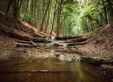 hungary/mecsek/attraction/obanyai-volgy