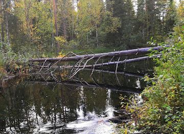 finland/hossa-national-park/attraction/variskongas-waterfall